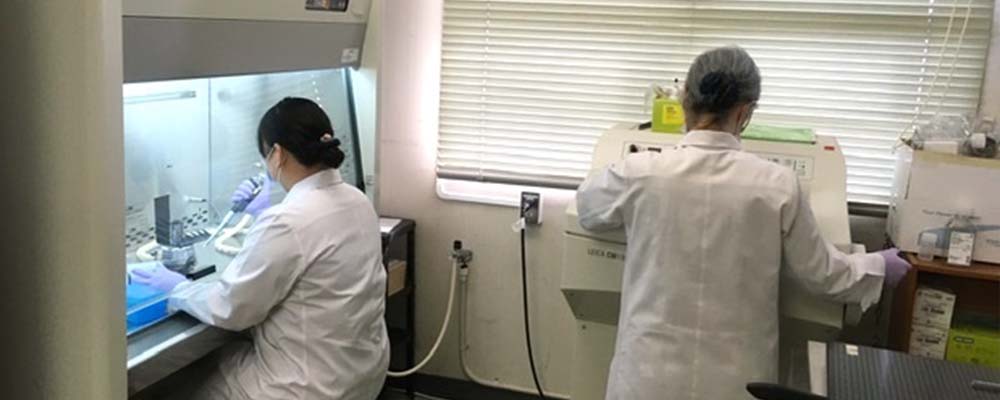 琉球大学 泌尿器科